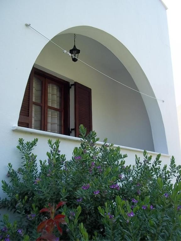 Katerina Studios Naxos City Номер фото